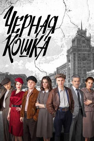 Чёрная кошка poster