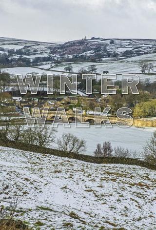 Winter Walks poster