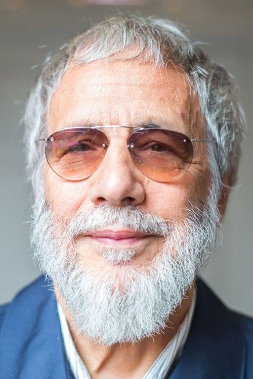 Cat Stevens poster