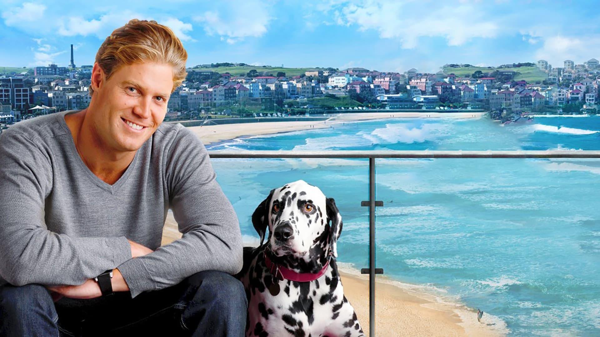 Bondi Vet backdrop