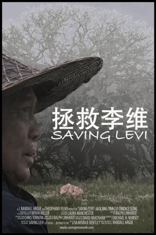 Saving Levi poster