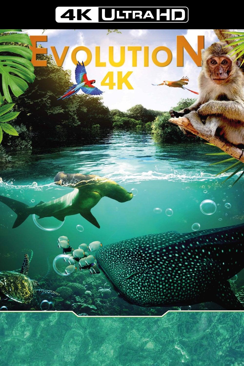 Evolution 4K poster