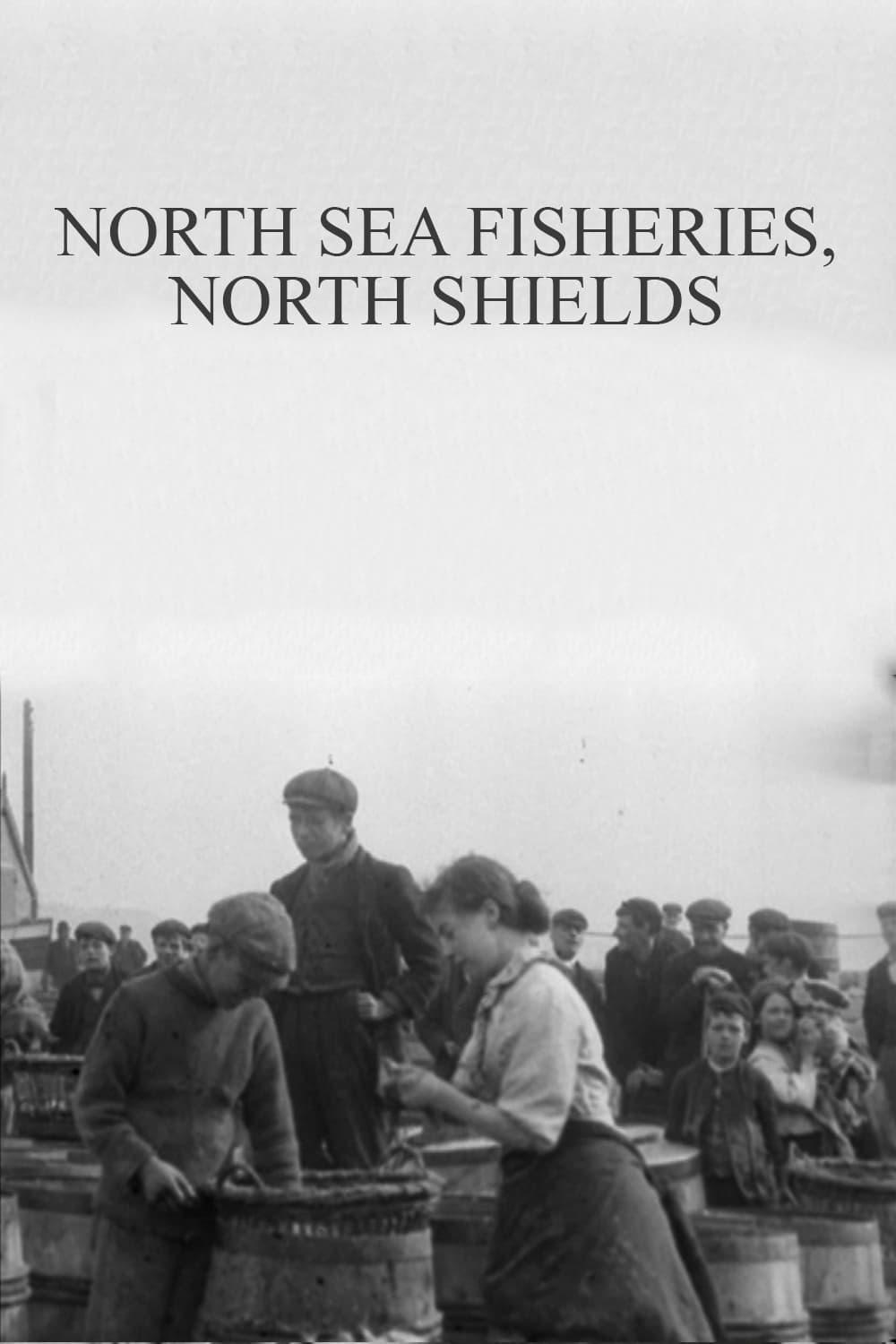 North Sea Fisheries, North Shields poster