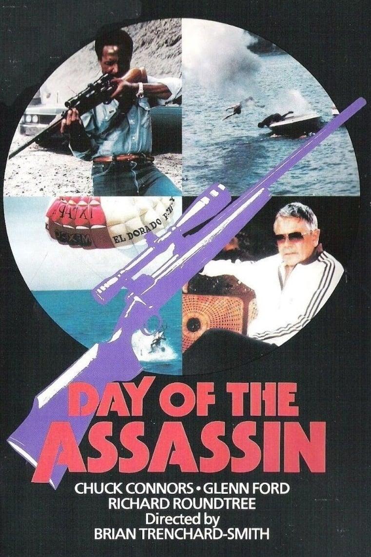 Day of the Assassin poster