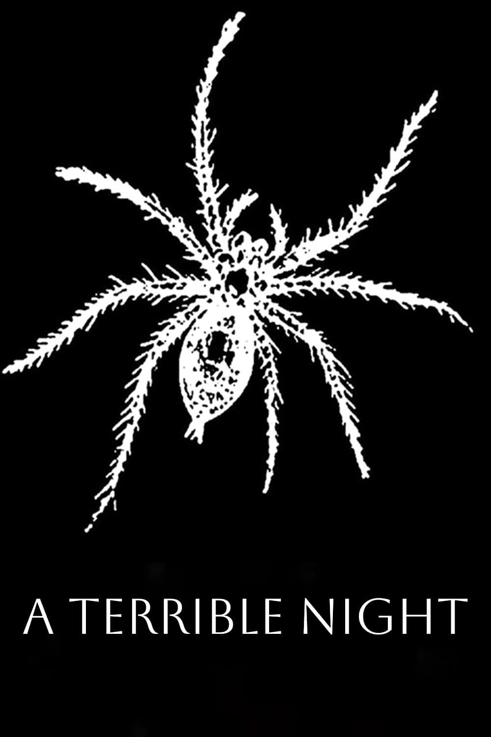 A Terrible Night poster