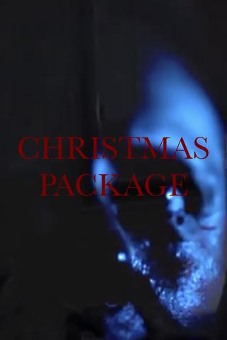 Christmas Package poster