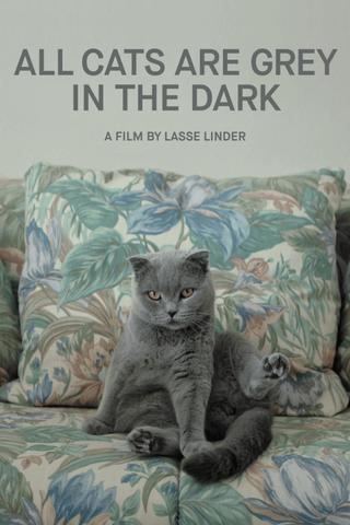 All Cats Are Grey in the Dark poster