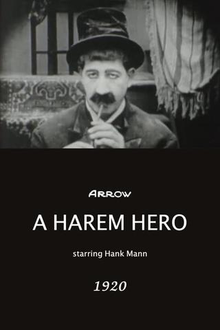 A Harem Hero poster