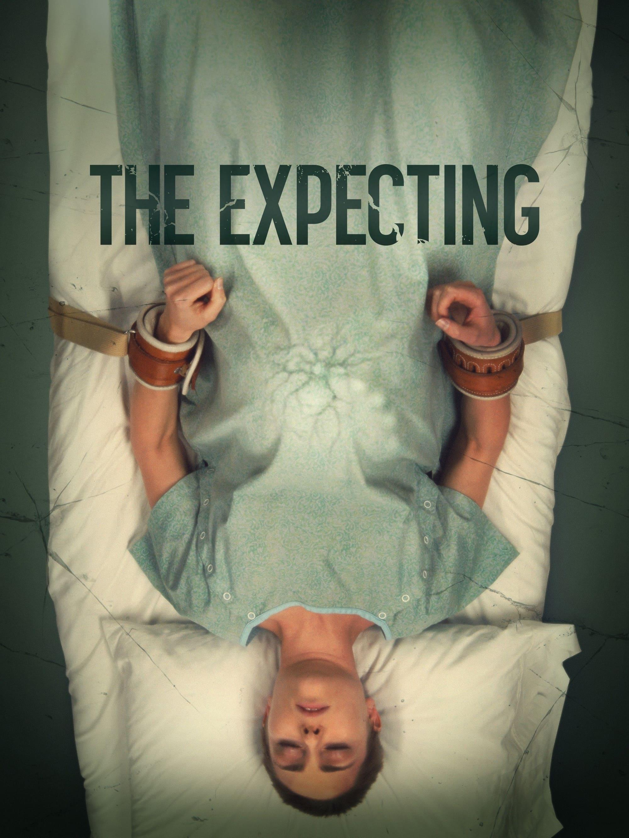 The Expecting poster