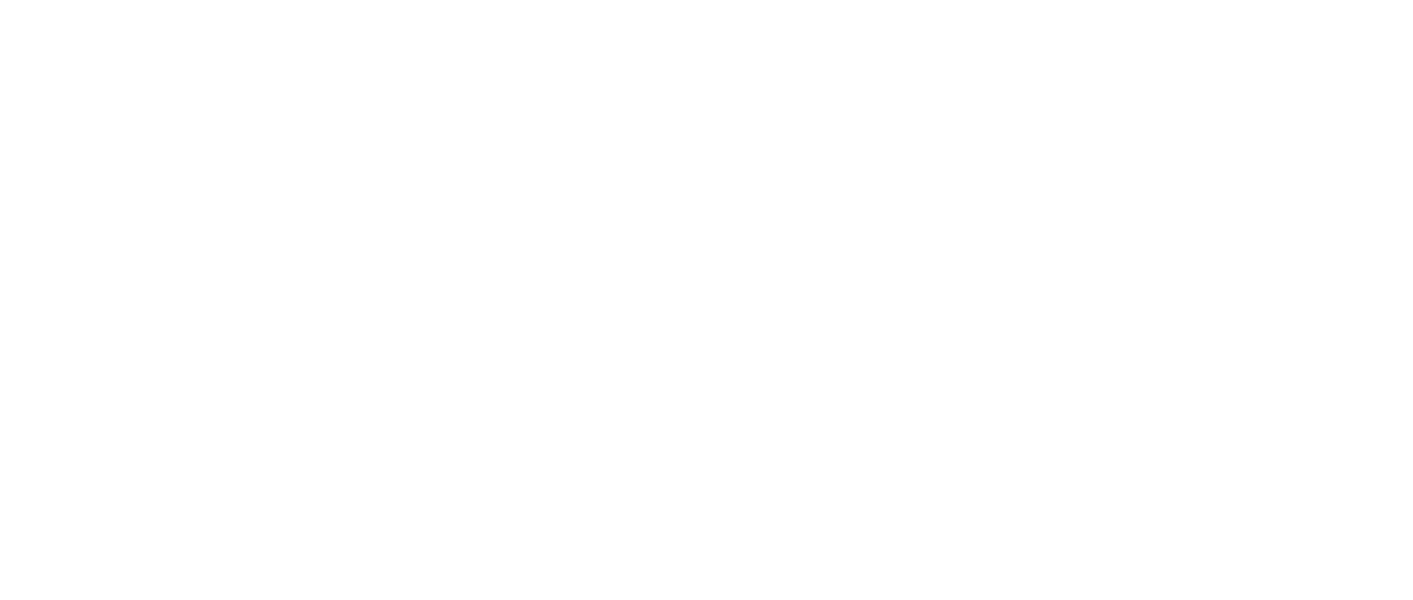 Toolsidas Junior logo