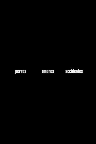 Perros, amores, accidentes poster