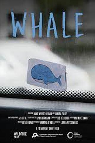 Whale poster