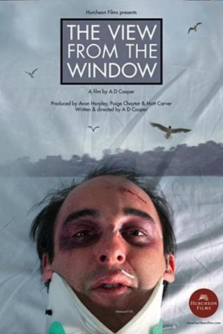 The View From The Window poster