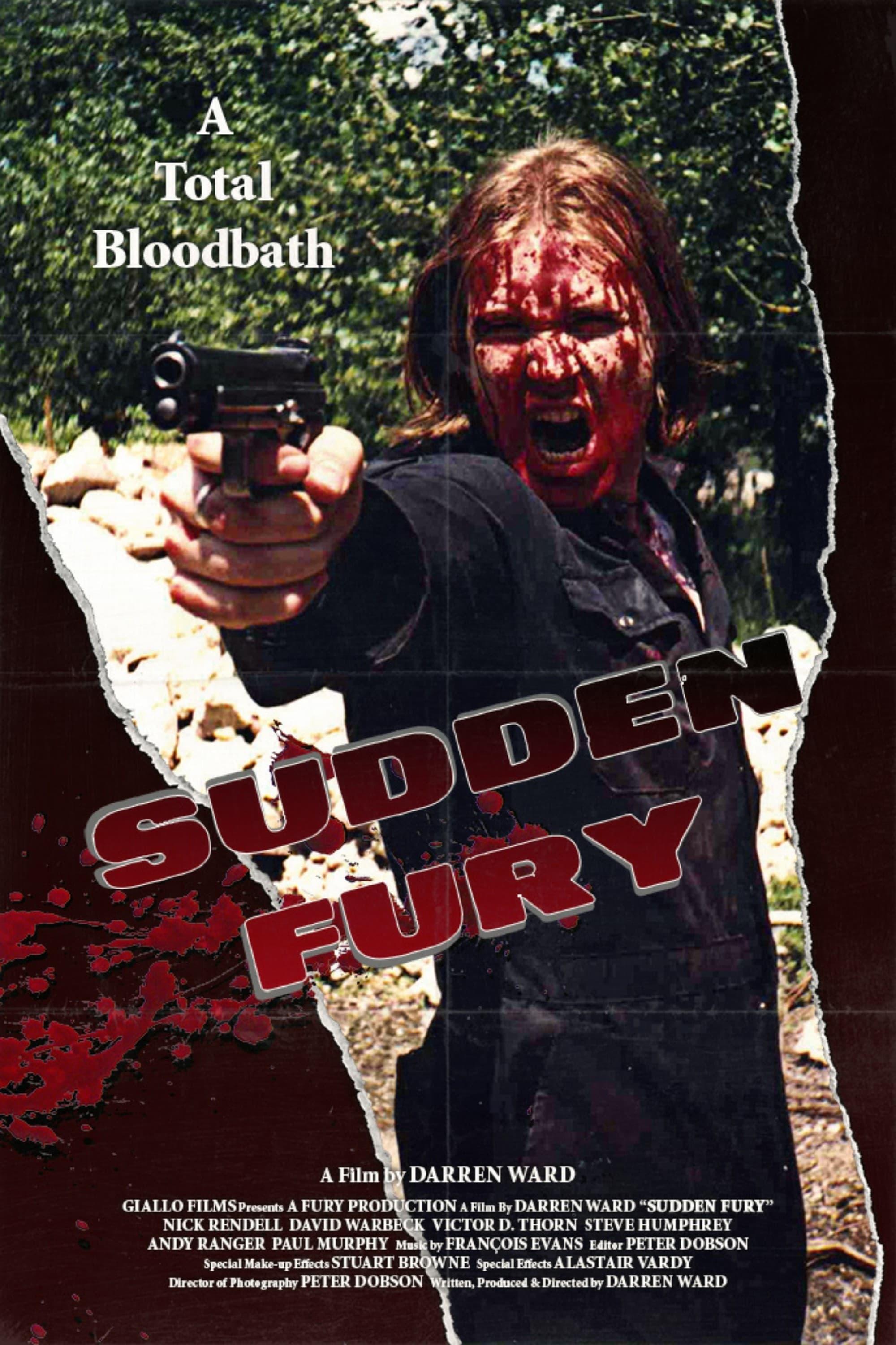 Sudden Fury poster