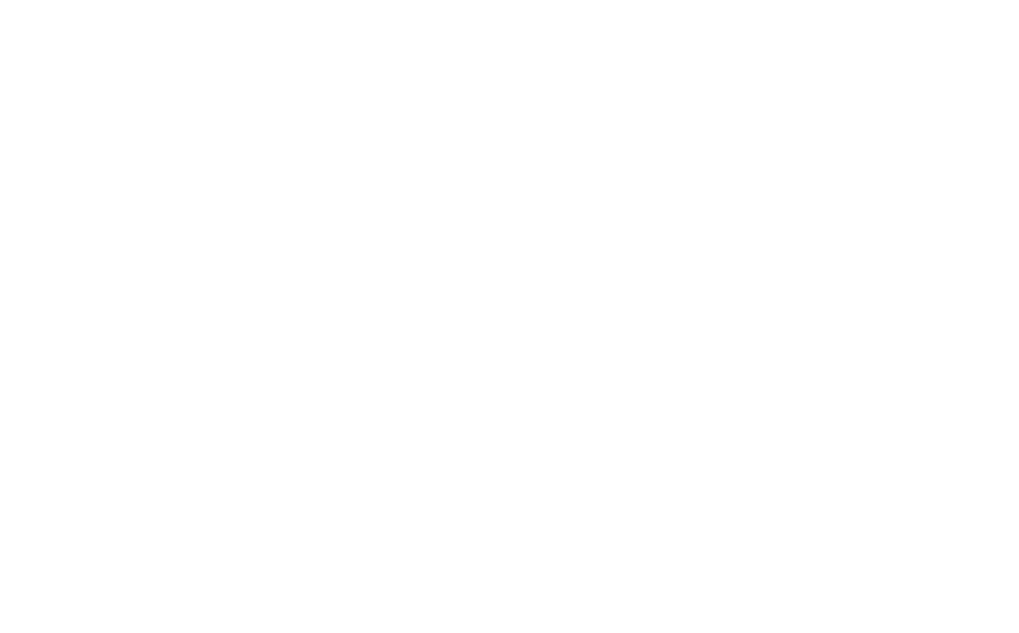 Border Control: Brazil logo