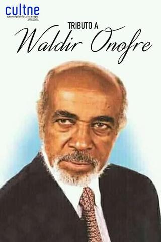 Tributo a Waldir Onofre poster