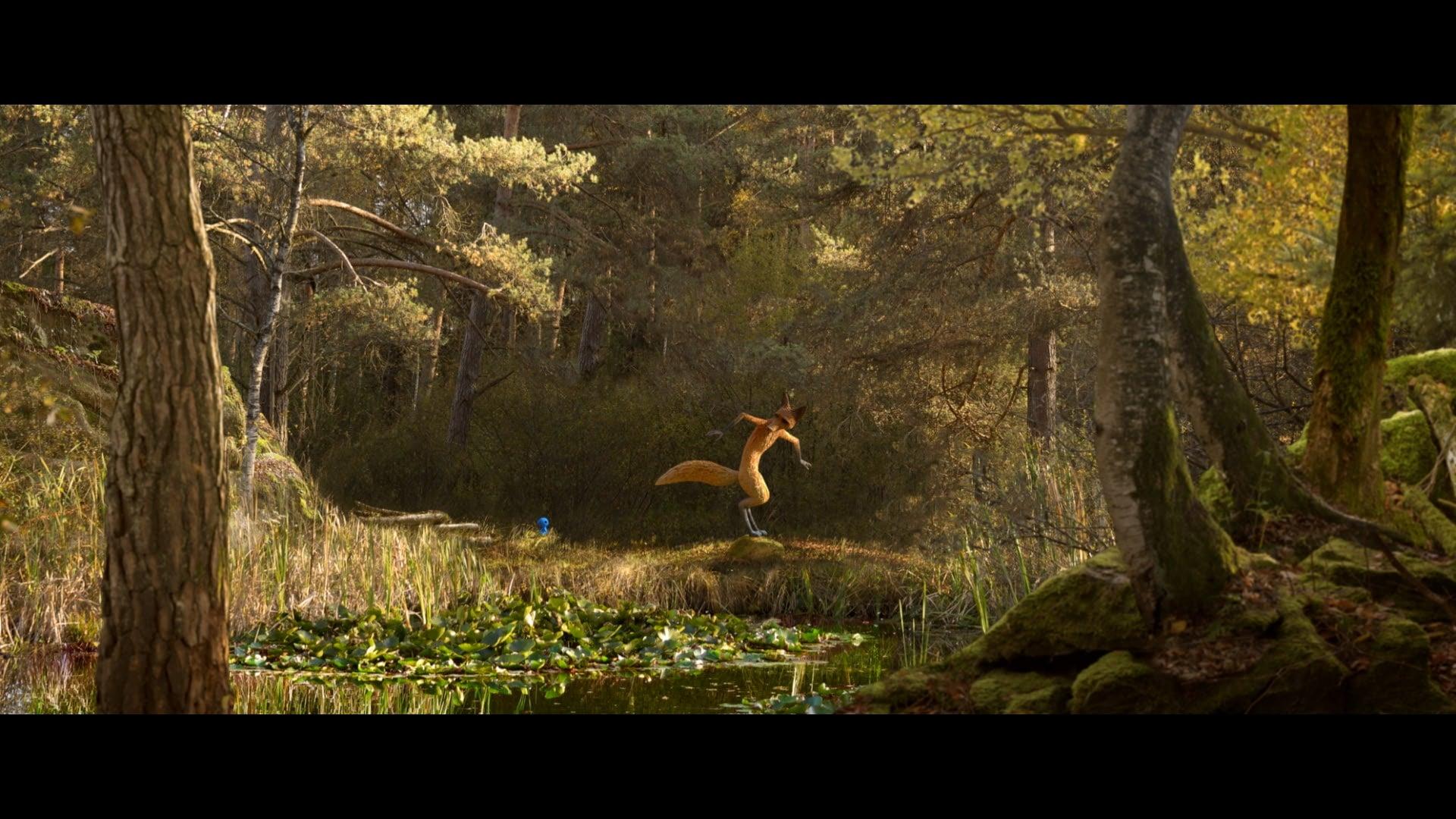 The Fox & the Bird backdrop