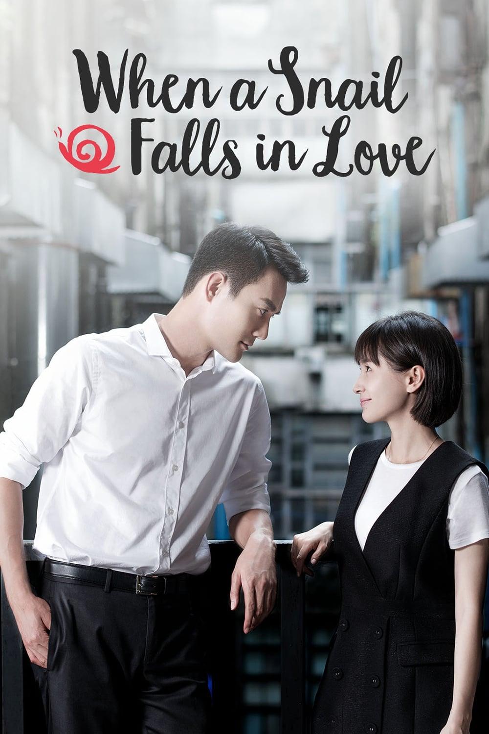 When a Snail Falls in Love poster