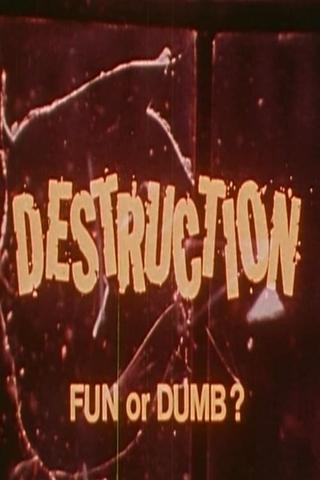 Destruction: Fun or Dumb? poster