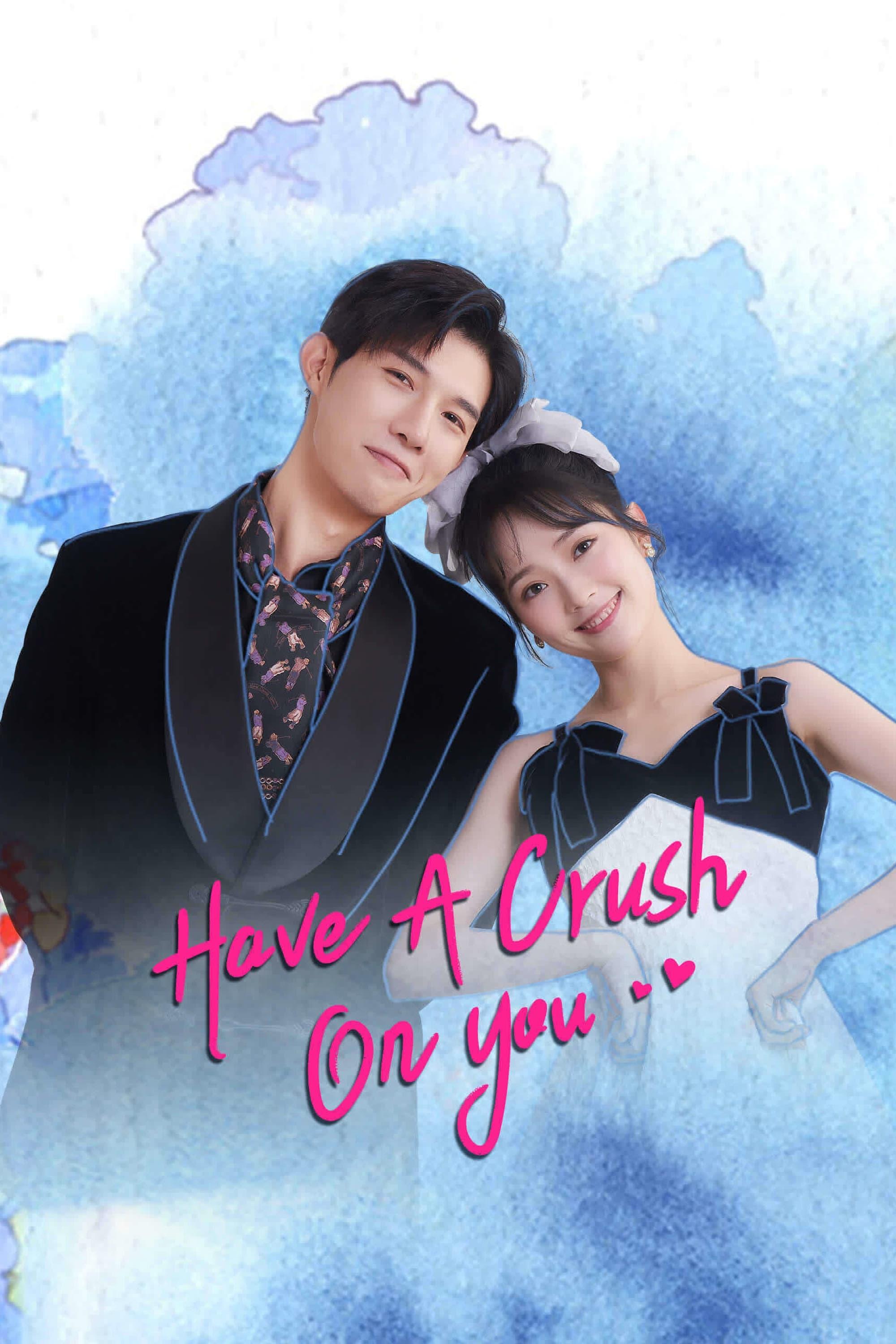 Have a Crush On You poster