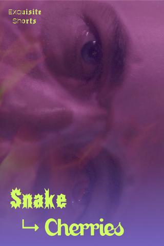 Snake to Cherries poster