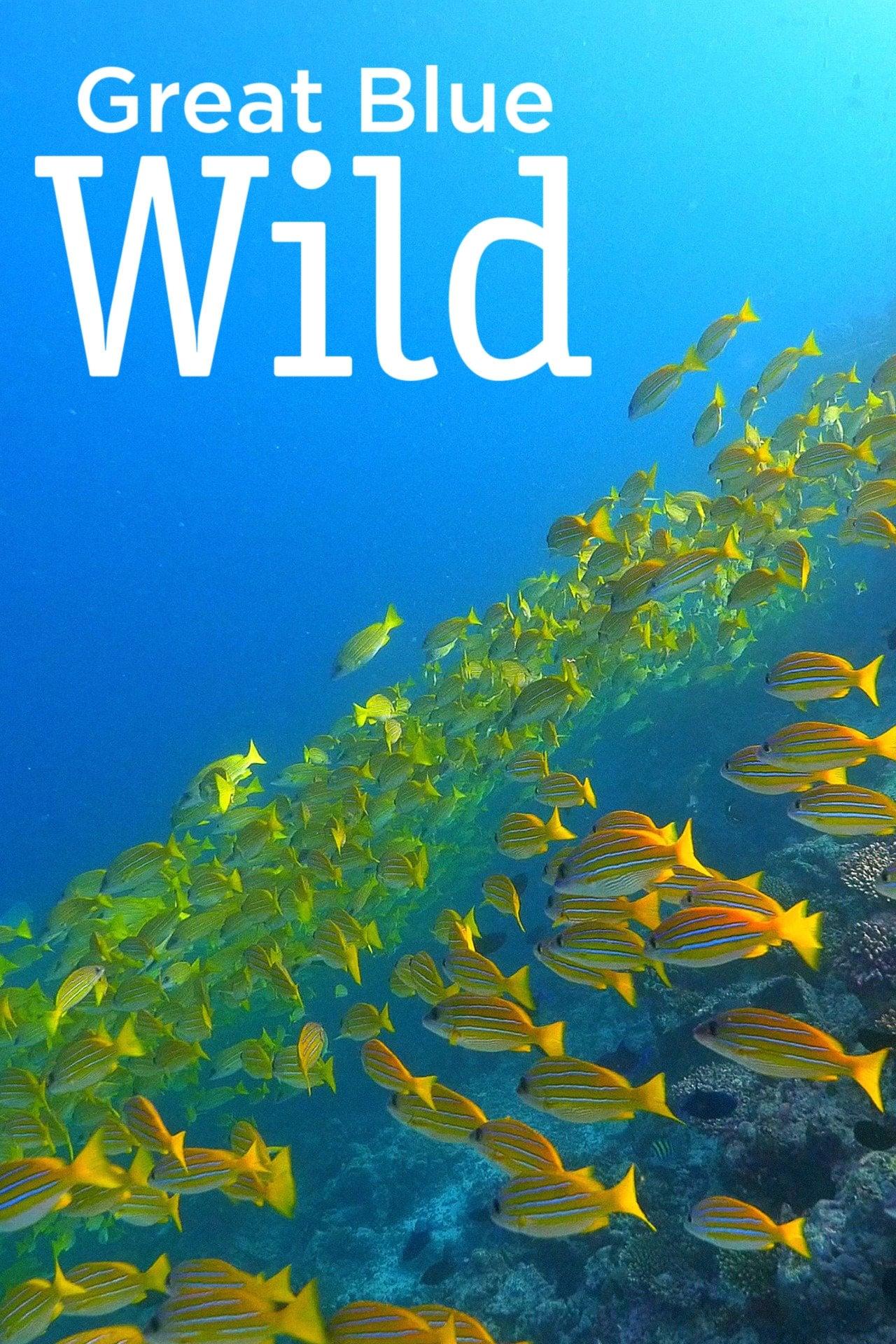 Great Blue Wild poster