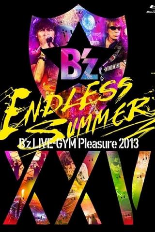 B'z LIVE-GYM Pleasure 2013 ENDLESS SUMMER -XXV BEST- poster