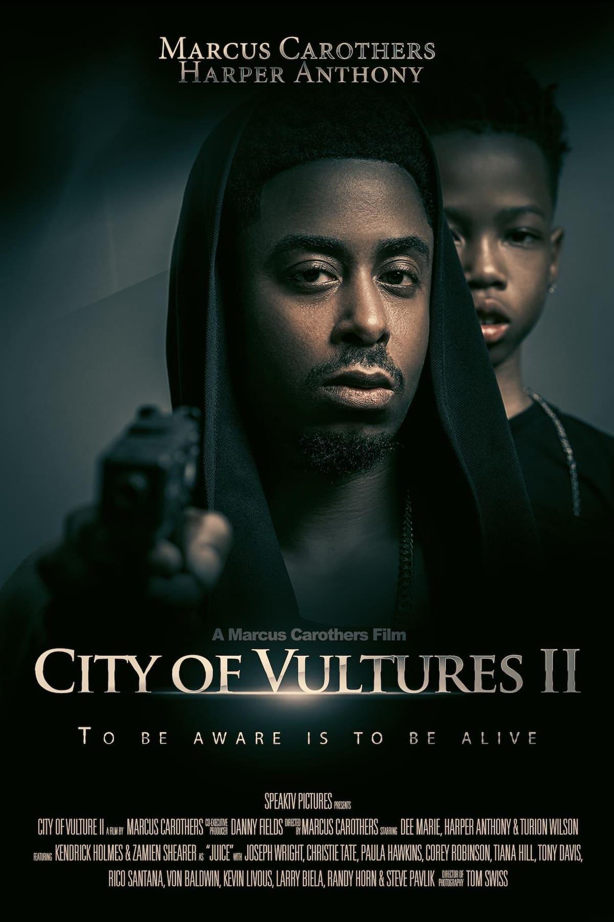 City of Vultures 2 poster