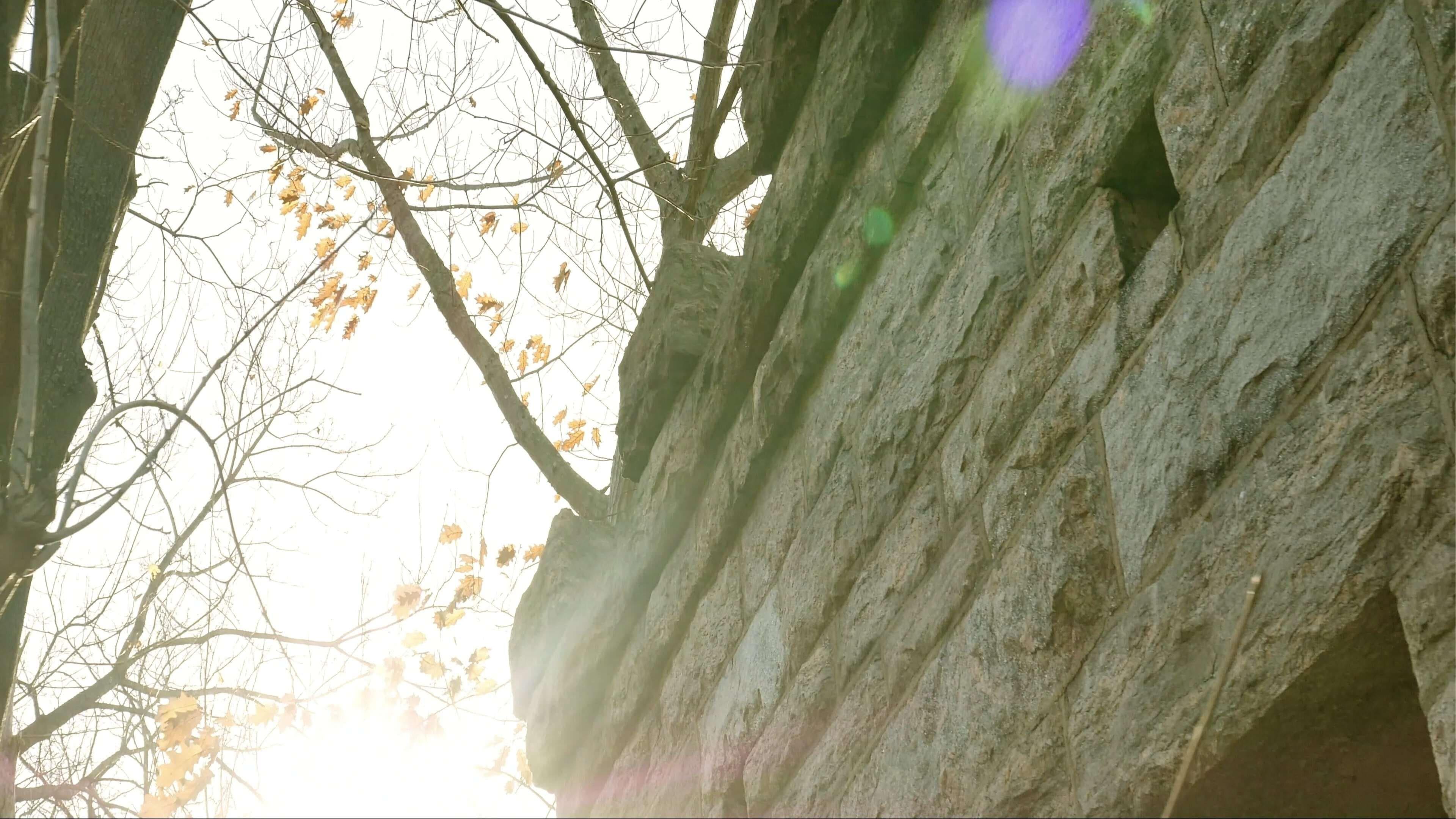 Vanessa Tascarella backdrop