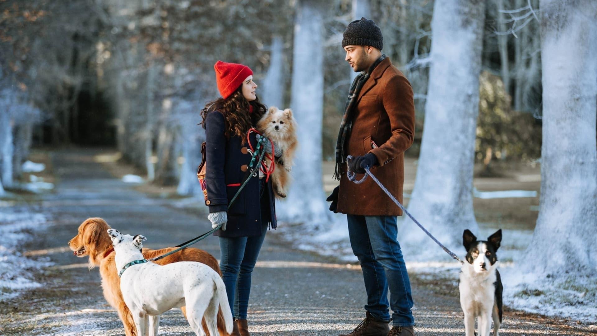 The Dog Days of Christmas backdrop