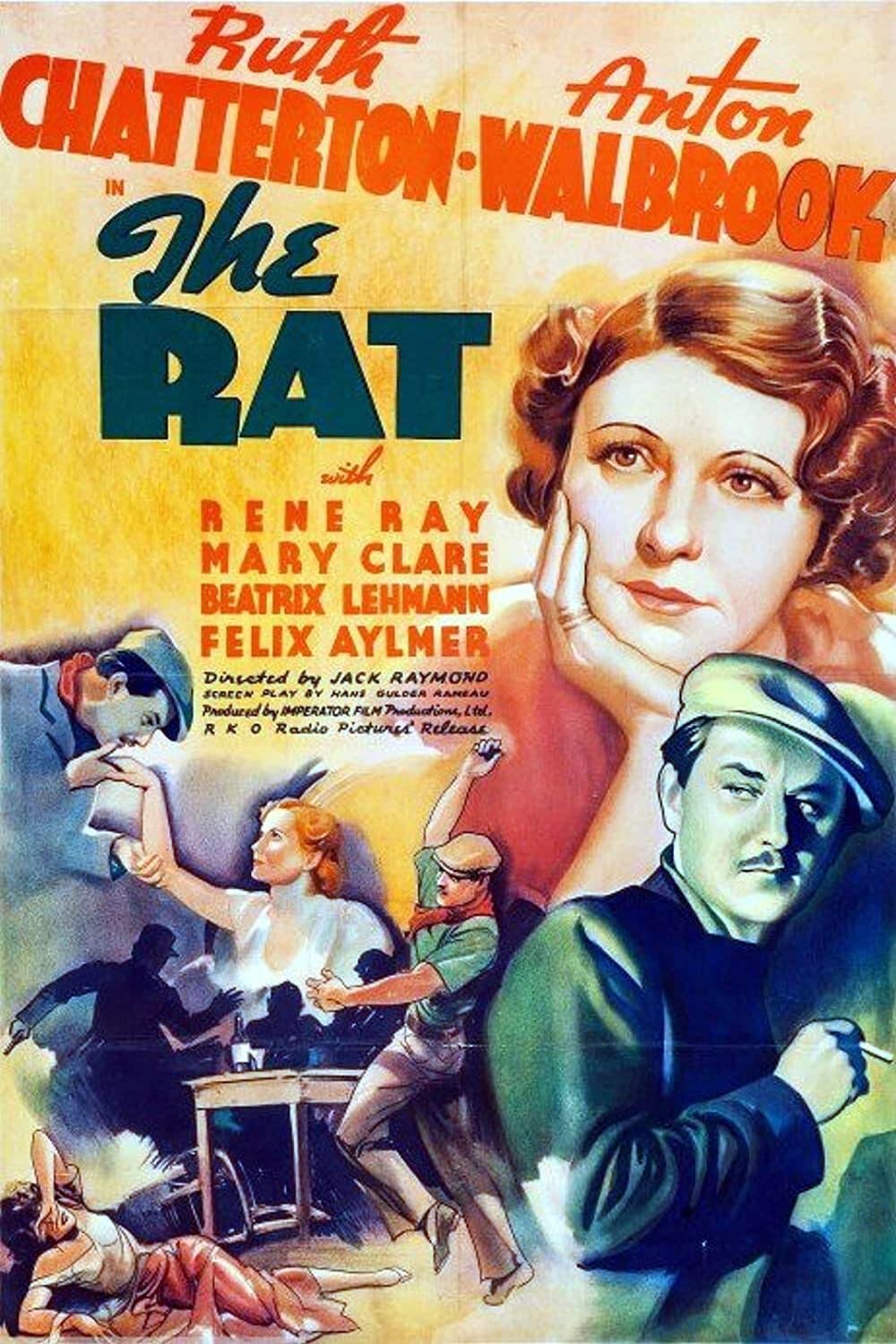 The Rat poster