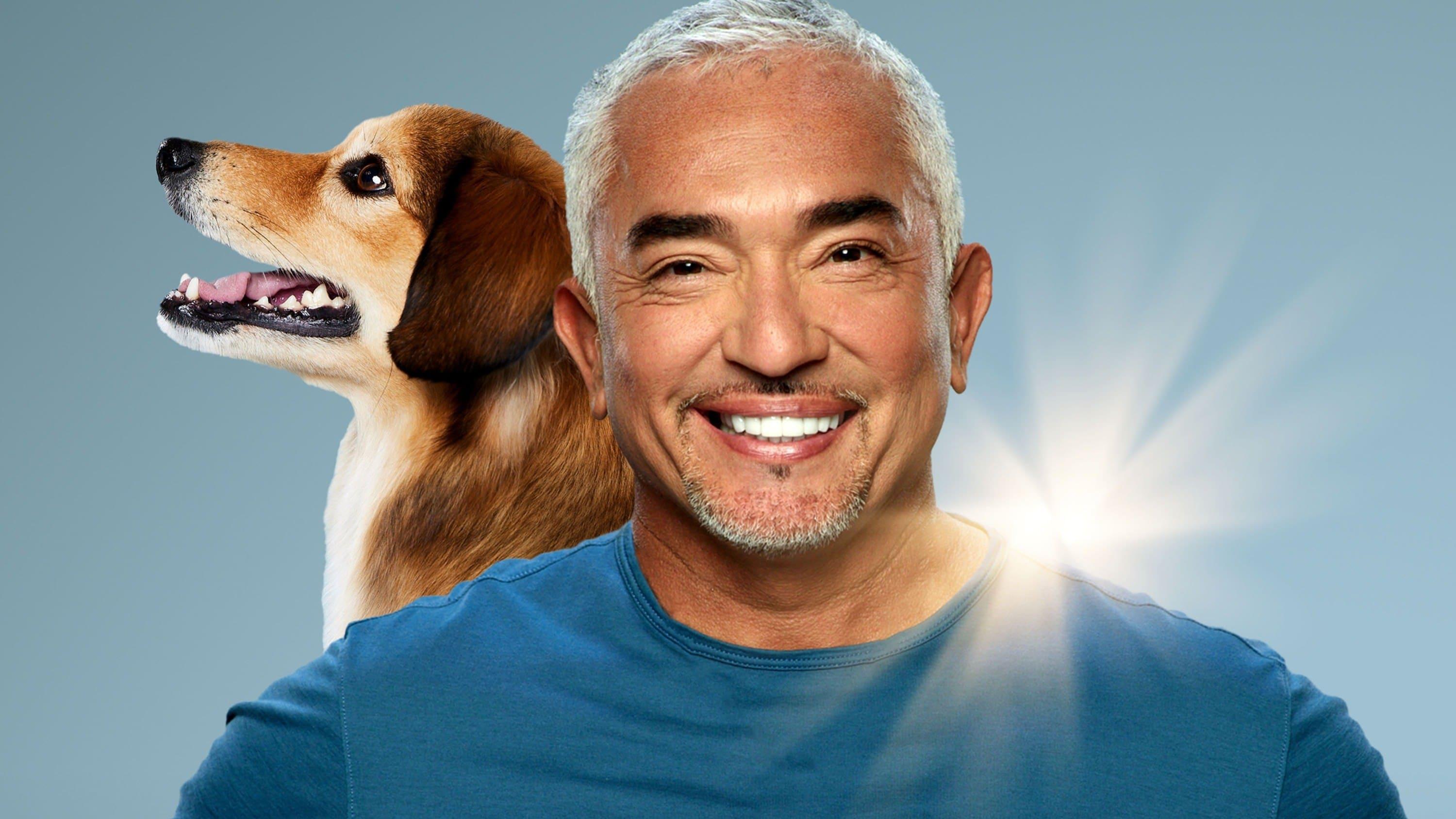 Cesar Millan backdrop