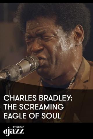 Charles Bradley The Screaming Eagle Of Soul - 2014 poster