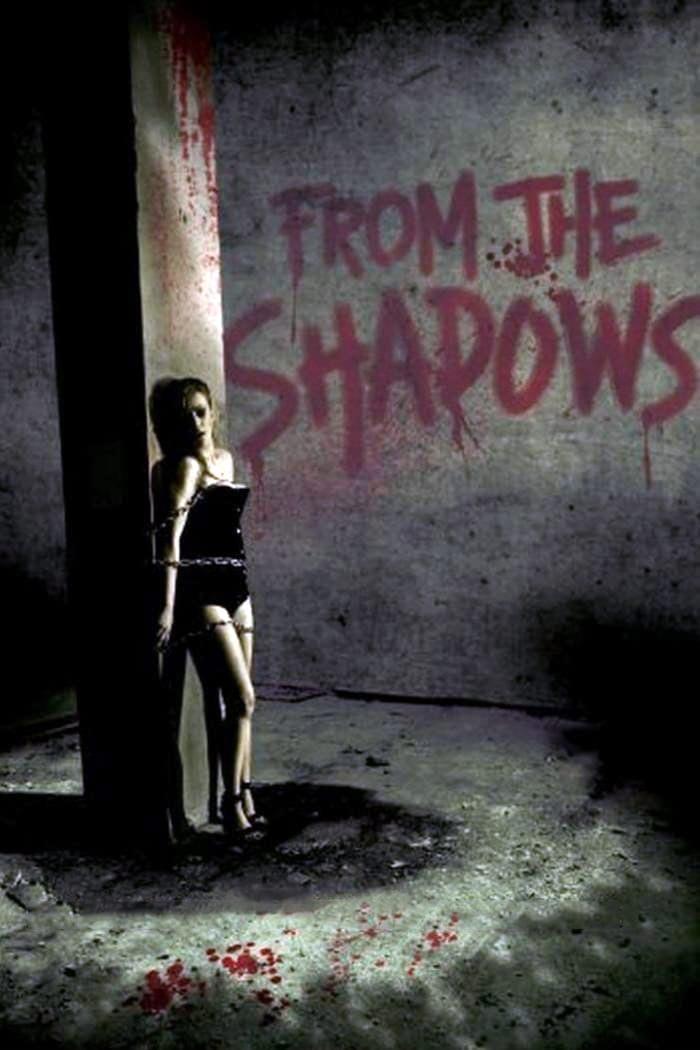 From the Shadows poster