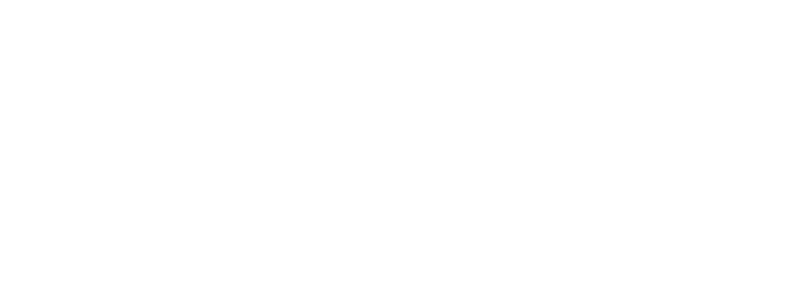 Citadel: Diana logo