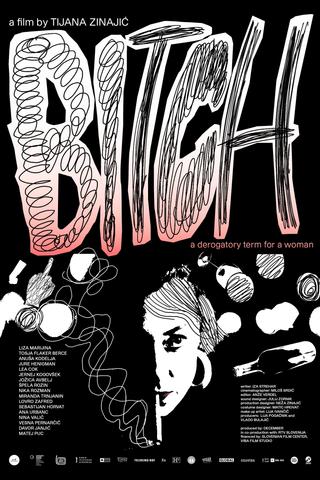 Bitch, A Derogatory Term for a Woman poster