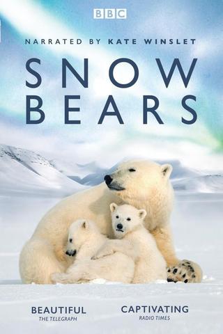 Snow Bears poster