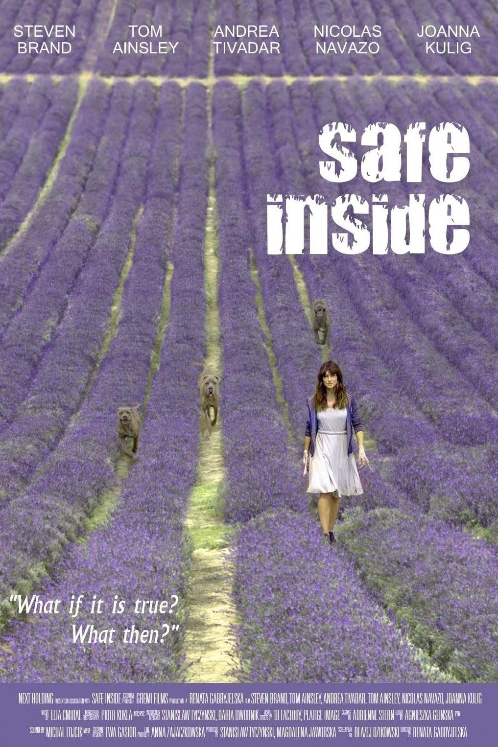 Safe Inside poster