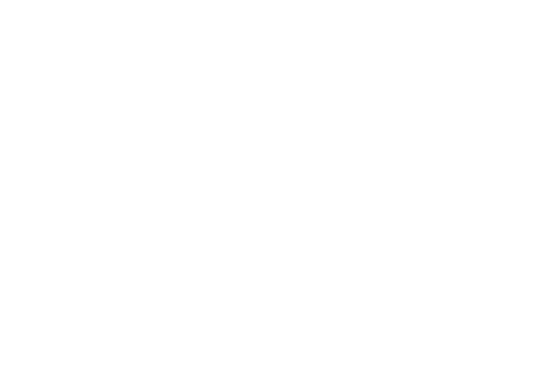 Born Racer logo