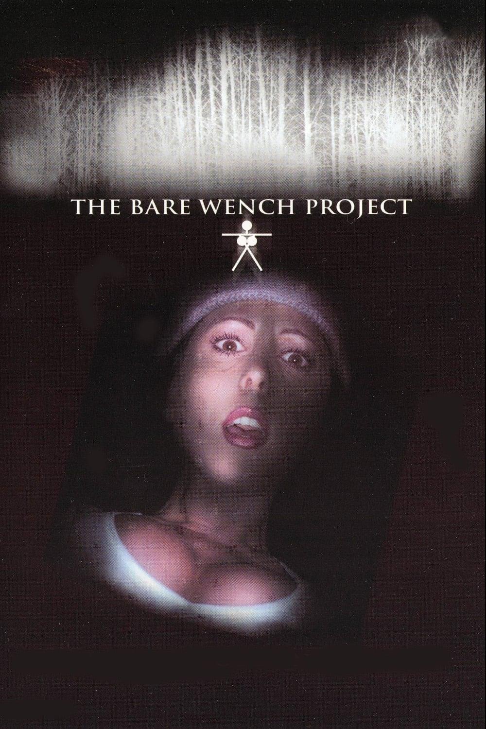 The Bare Wench Project poster