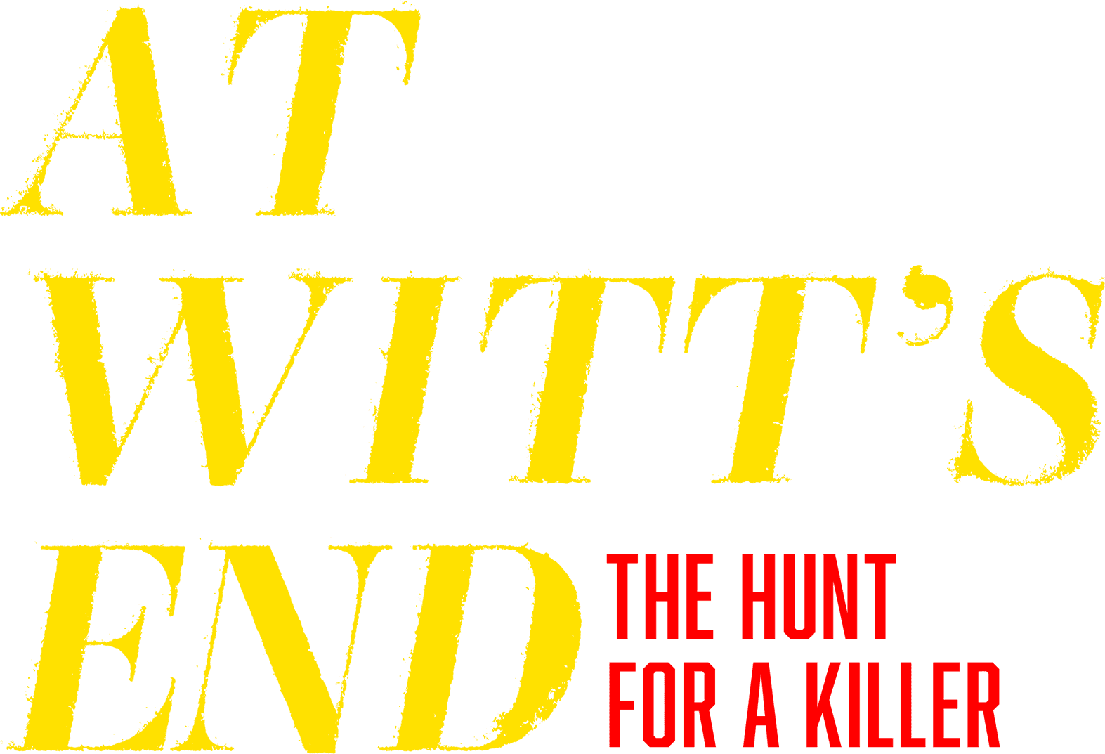 At Witt's End: The Hunt for a Killer logo