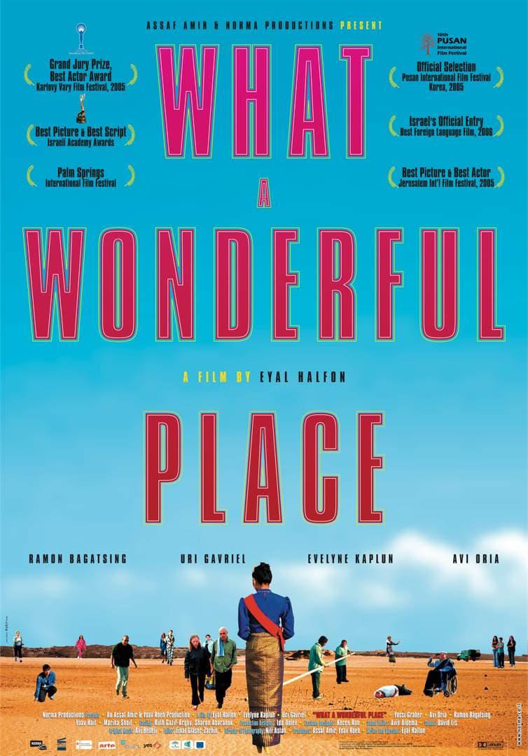 What a Wonderful Place poster