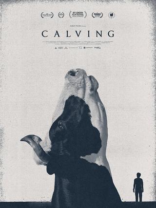 Calving poster