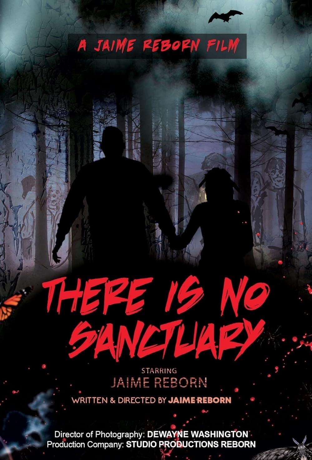 There Is No Sanctuary poster