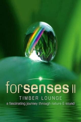 Forsenses II: Timber Lounge poster