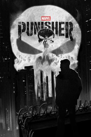 Marvel's The Punisher poster