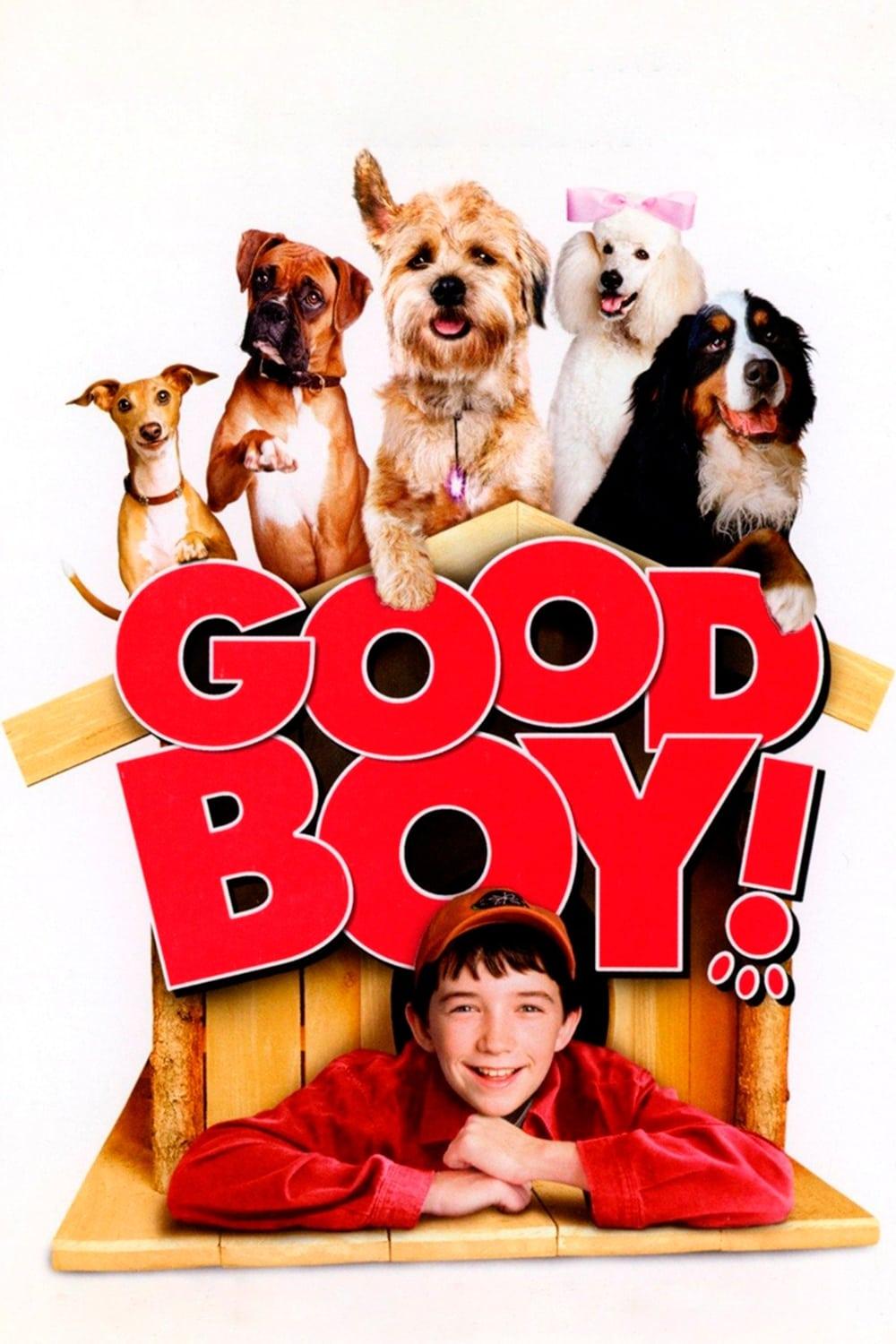 Good Boy! poster