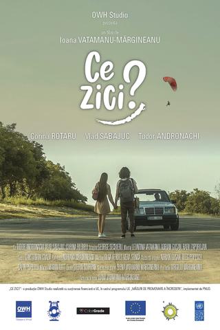 Ce Zici? (What Do You Think?) poster