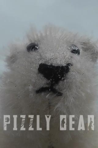 Pizzly Bear poster