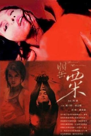 The Sichuan Concubines poster